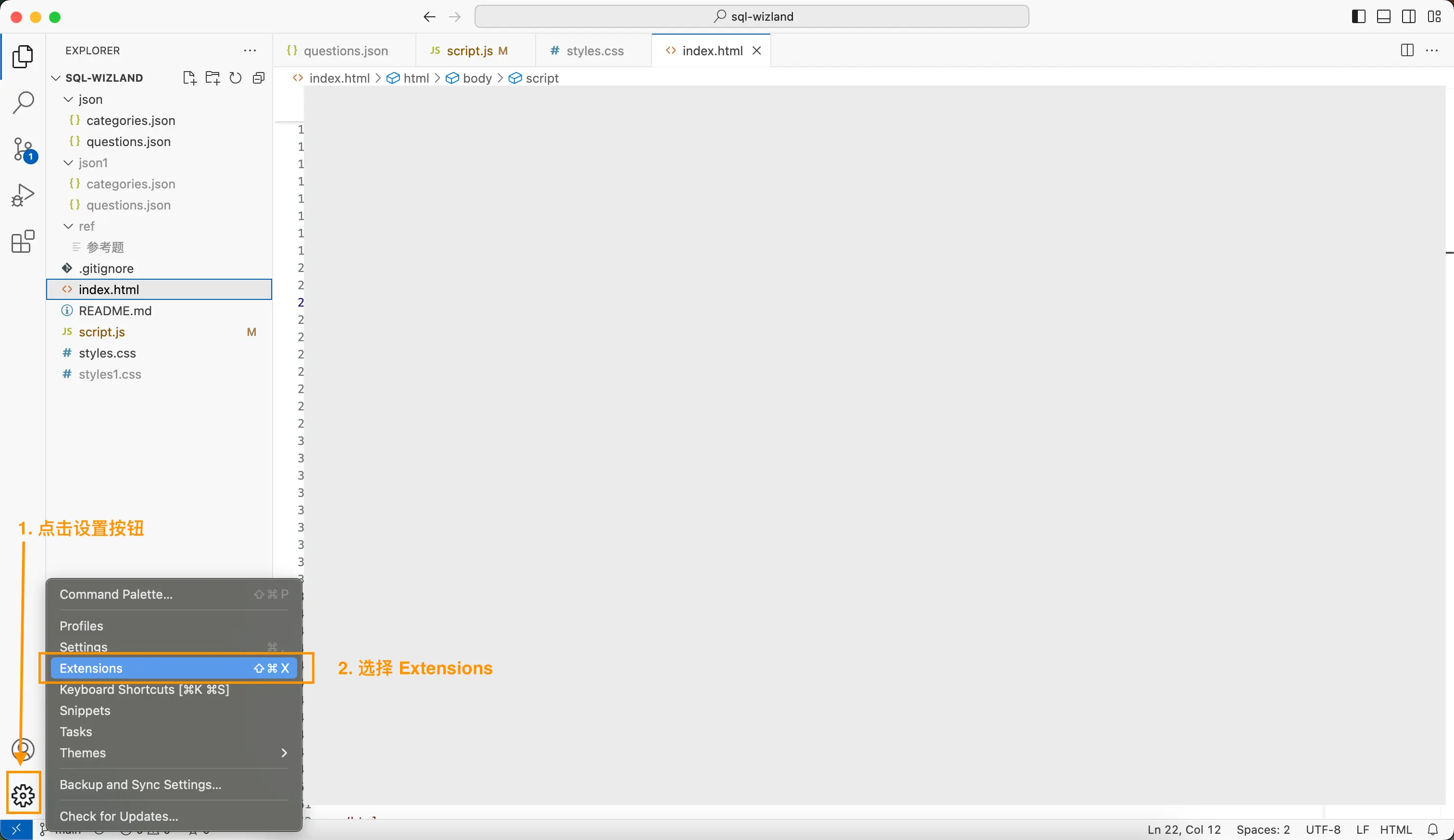 VS Code 界面截图1: 点击主界面左下角的设置按钮、选择 Extensions